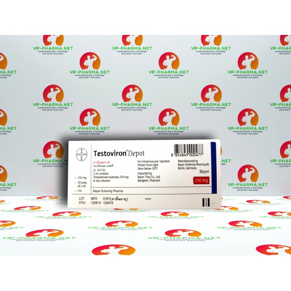 Тестостерон Энантат от Bayer Schering Pharma (250мг\1мл) Тестостерон Энантат от Bayer Schering Pharma (250мг\1мл)